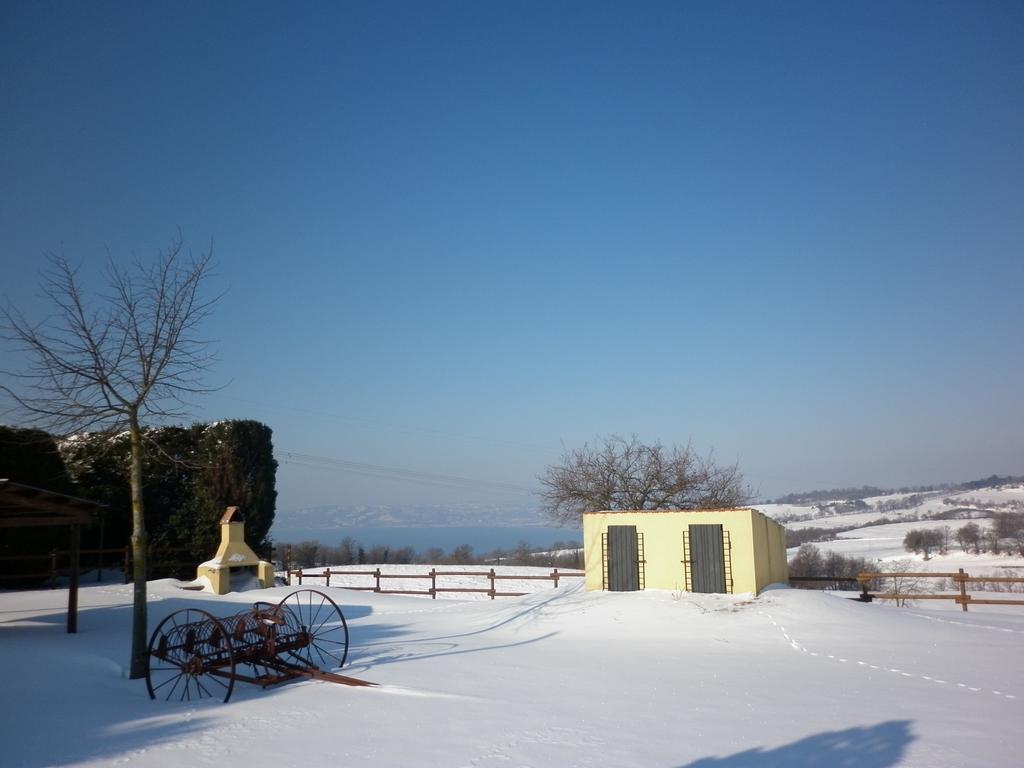 B&B Podere Ospedaletto ボルセーナ エクステリア 写真