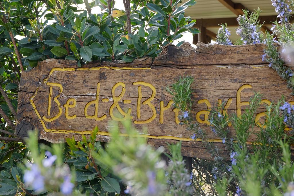 B&B Podere Ospedaletto ボルセーナ エクステリア 写真